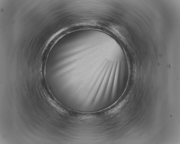 X0000081310830200701251741