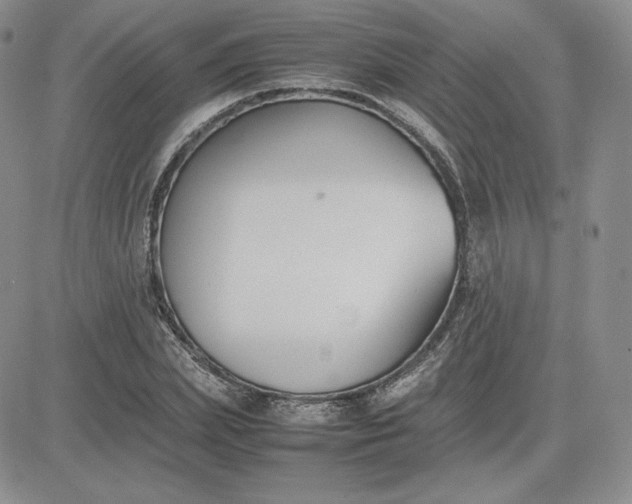 X0000081310831200701251741