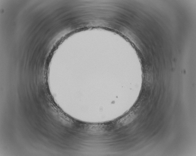 X0000081310832200701251741