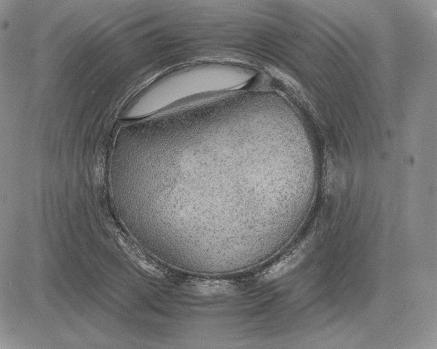 X0000081310833200701251741