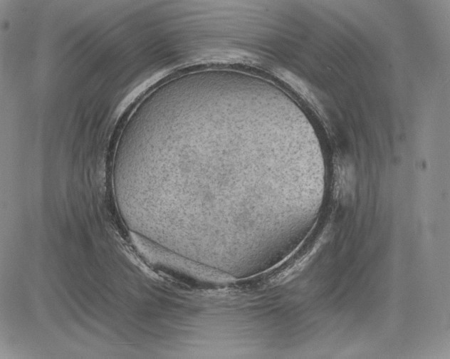 X0000081310834200701251741