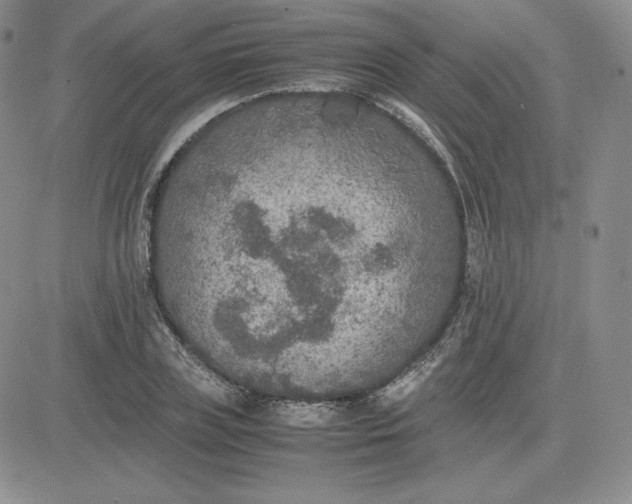 X0000081310835200701251741