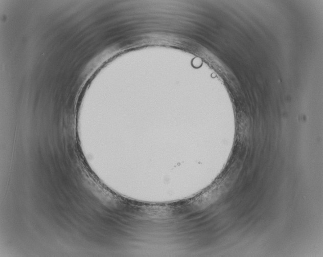 X0000081310836200701251741