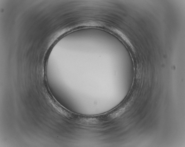 X0000081310837200701251741