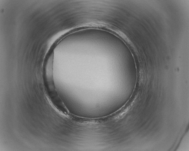 X0000081310838200701251741