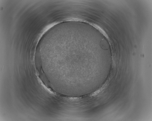 X0000081310839200701251741