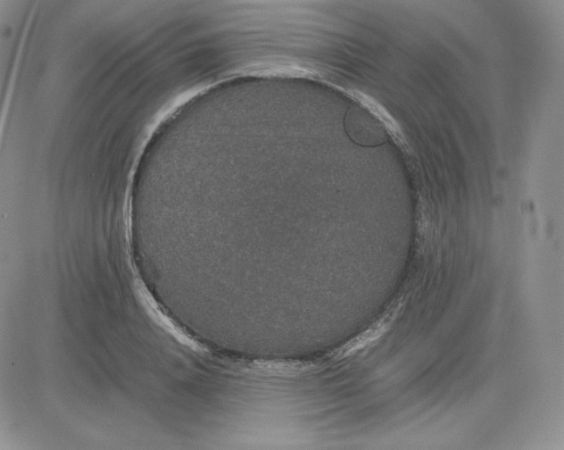 X0000081310840200701251741