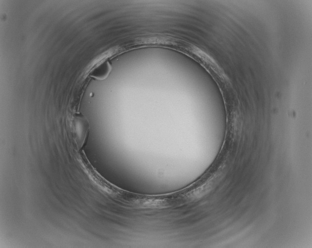 X0000081310841200701251741