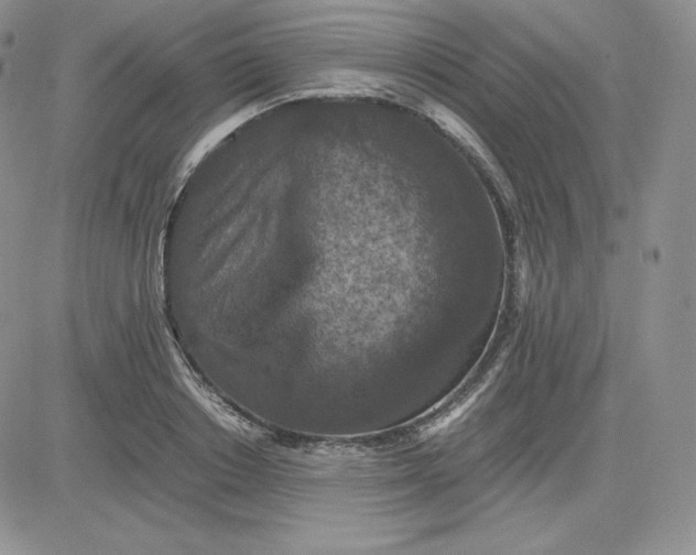 X0000081310842200701251741