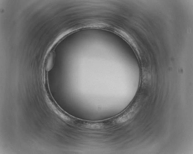 X0000081310843200701251741