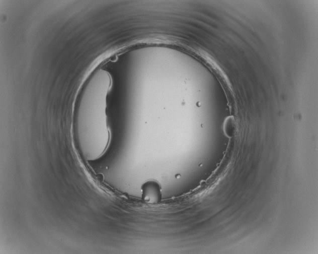 X0000081310845200701251741