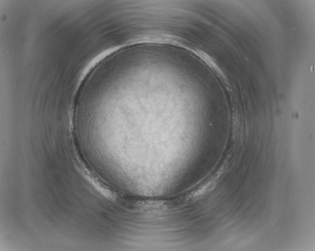 X0000081310846200701251741