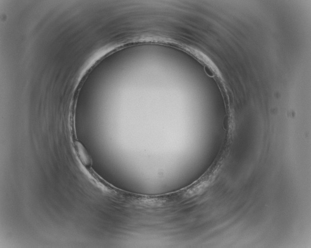 X0000081310847200701251741