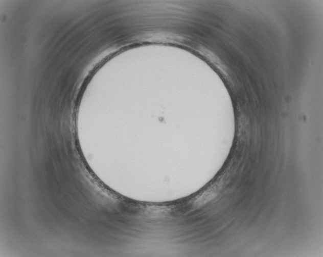 X0000081310848200701251741