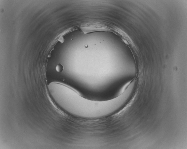 X0000081310849200701251741