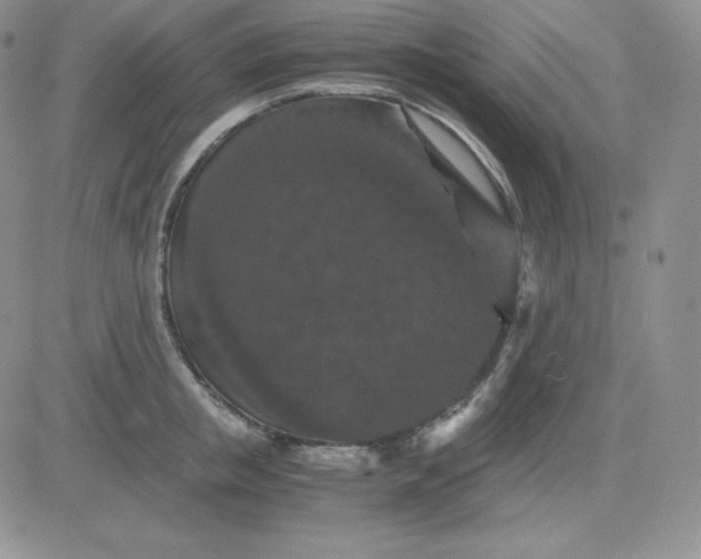 X0000081310853200701251741