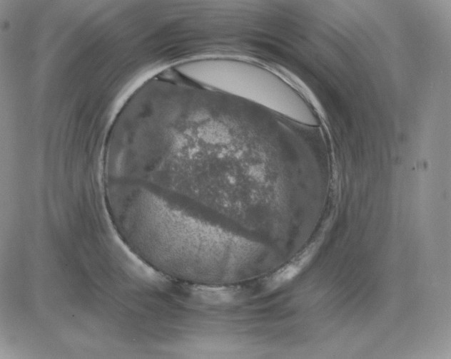 X0000081310855200701251741