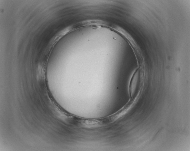 X0000081310857200701251741