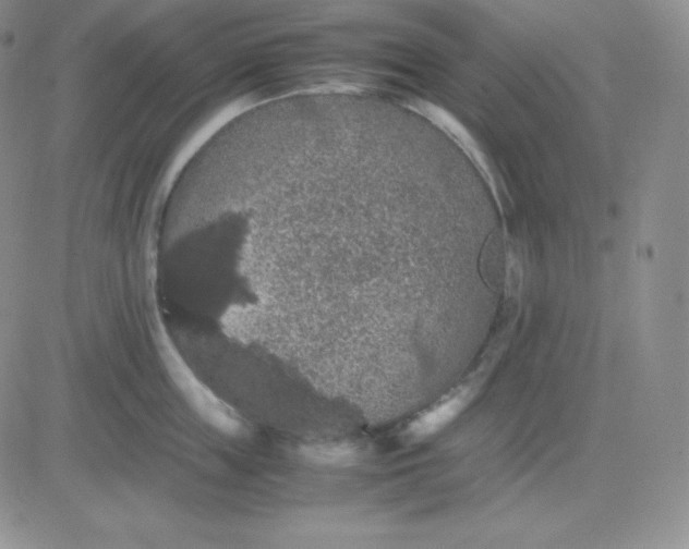 X0000081310859200701251741