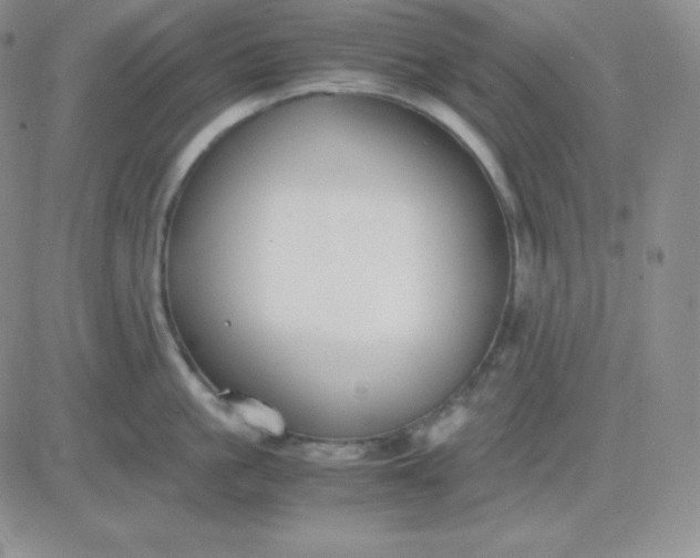 X0000081310861200701251741