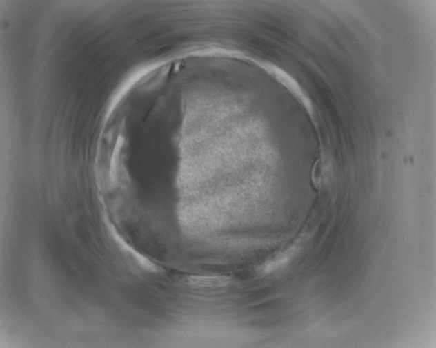 X0000081310863200701251741