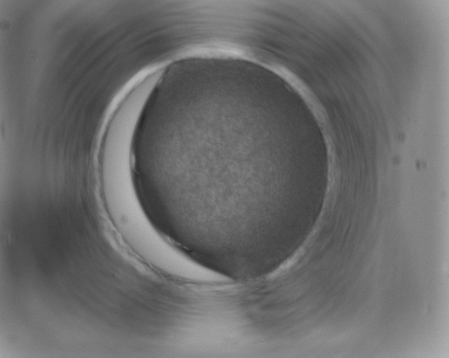 X0000081310864200701251741