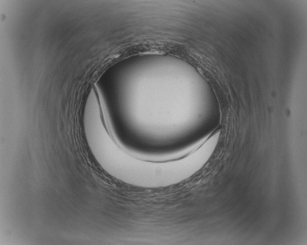 X0000081310865200701251740