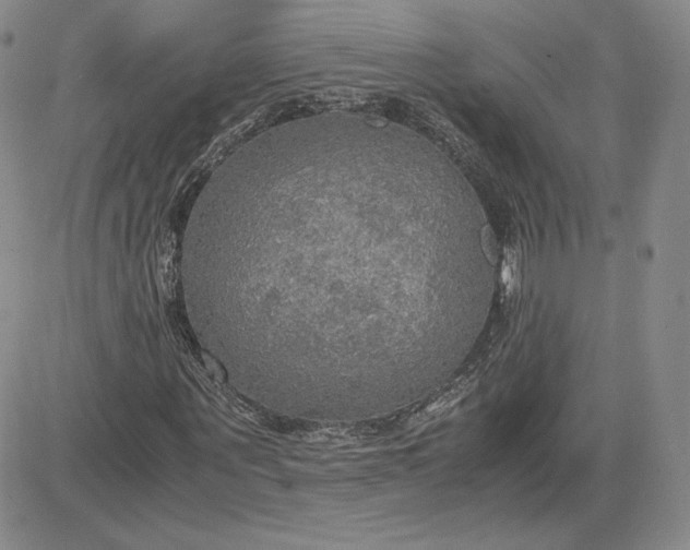 X0000081310867200701251740