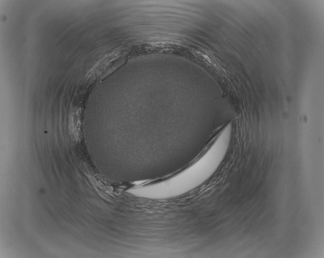 X0000081310868200701251740