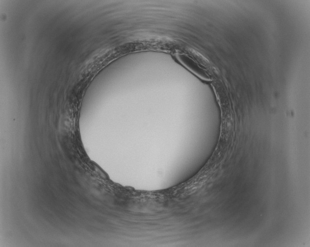 X0000081310869200701251740