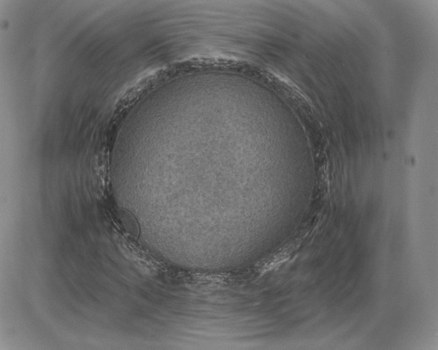 X0000081310870200701251740