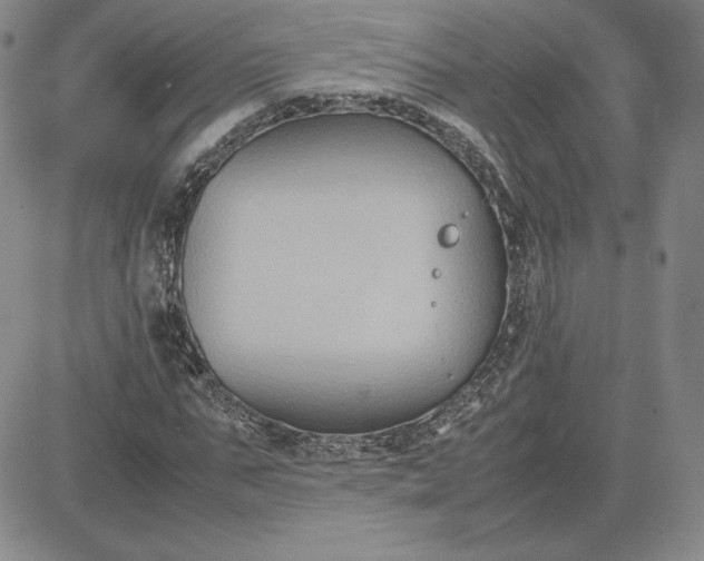 X0000081310871200701251740