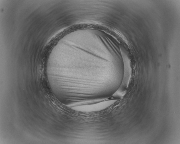 X0000081310872200701251740