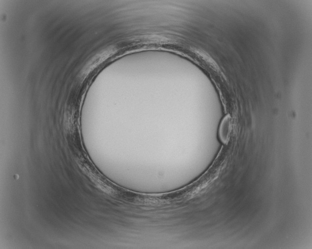 X0000081310873200701251740