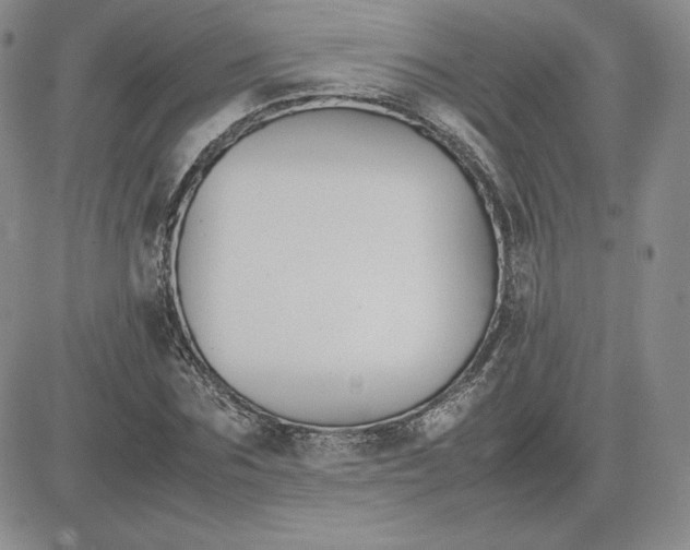 X0000081310875200701251740