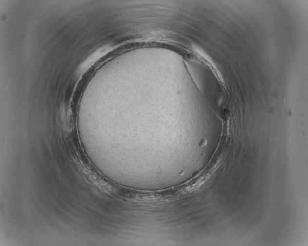 X0000081310876200701251740