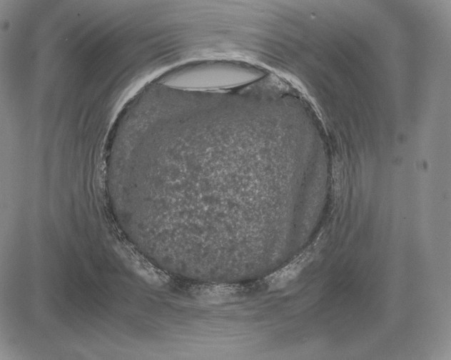 X0000081310879200701251740