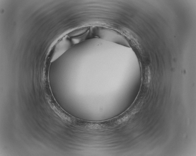 X0000081310880200701251740