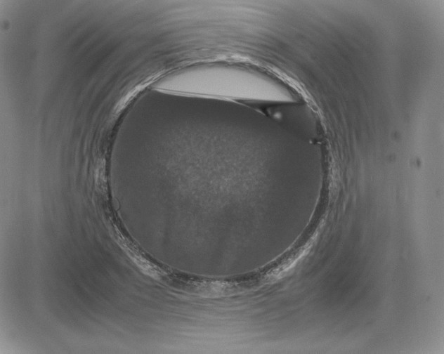 X0000081310881200701251740