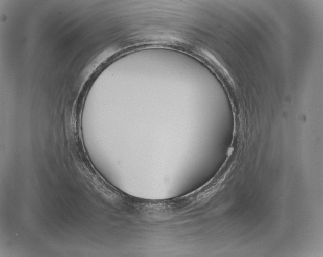 X0000081310883200701251740