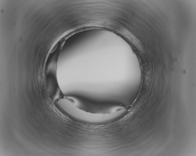 X0000081310884200701251740