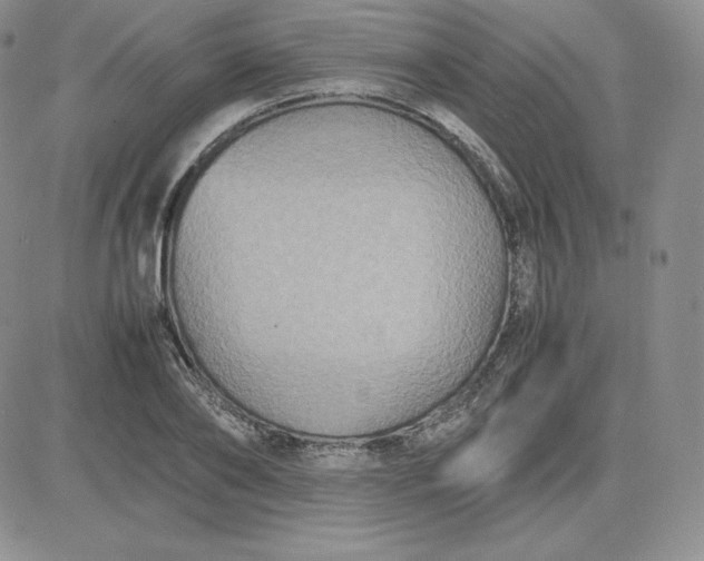 X0000081310886200701251740