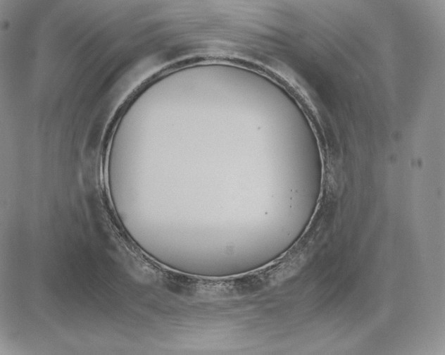 X0000081310887200701251740