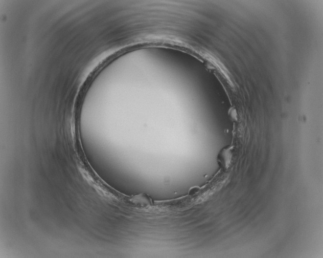 X0000081310888200701251740