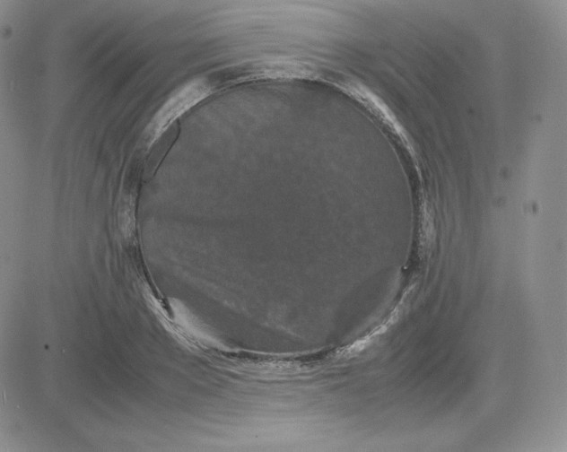 X0000081310889200701251740