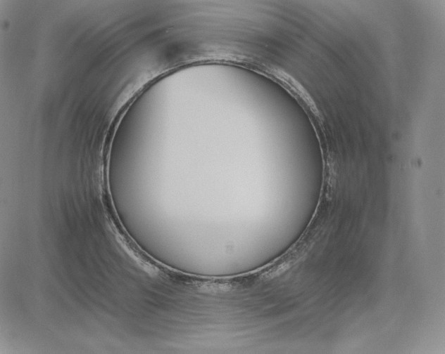 X0000081310890200701251740