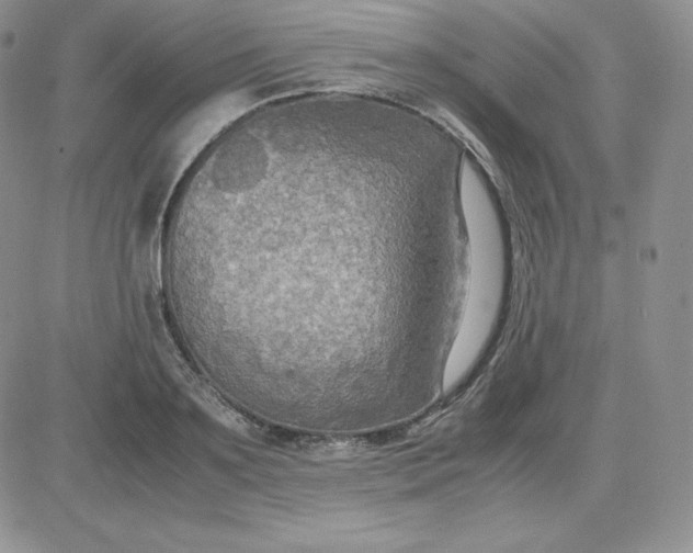 X0000081310891200701251740