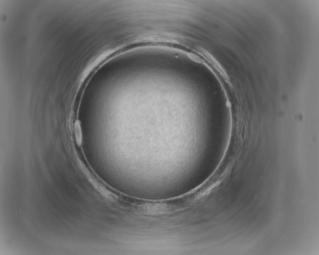 X0000081310893200701251740