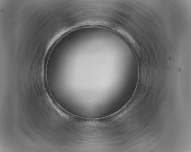 X0000081310894200701251740