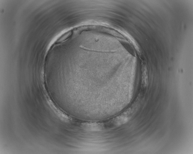 X0000081310896200701251740